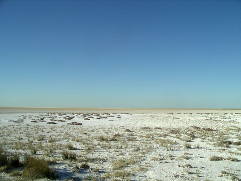 los salares del ethosa